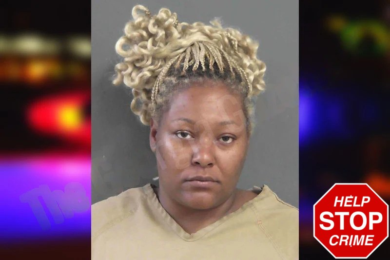 Dominique Holcomb Mugshots