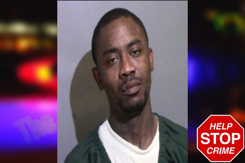 Dominique Norman Mugshots