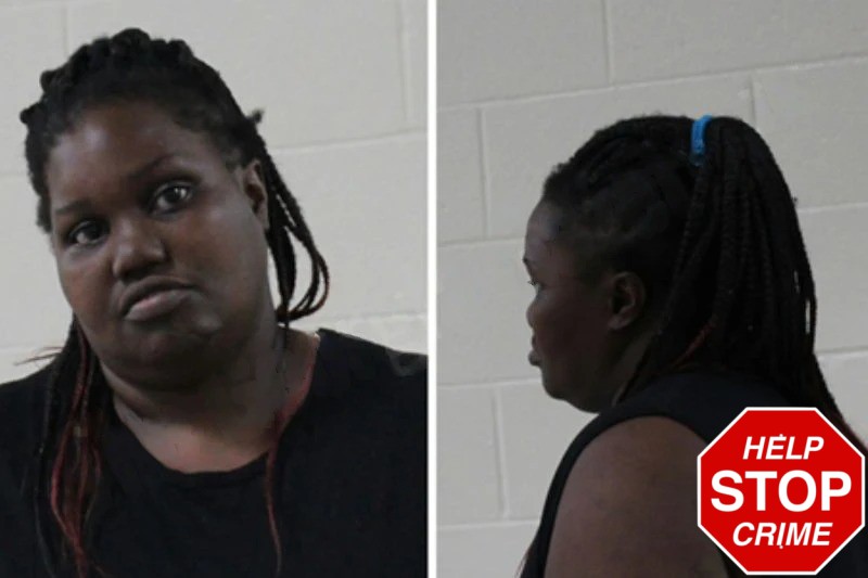 Dominique Olson Mugshots