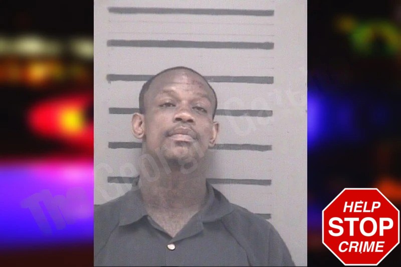 Dominique Whigham Mugshots