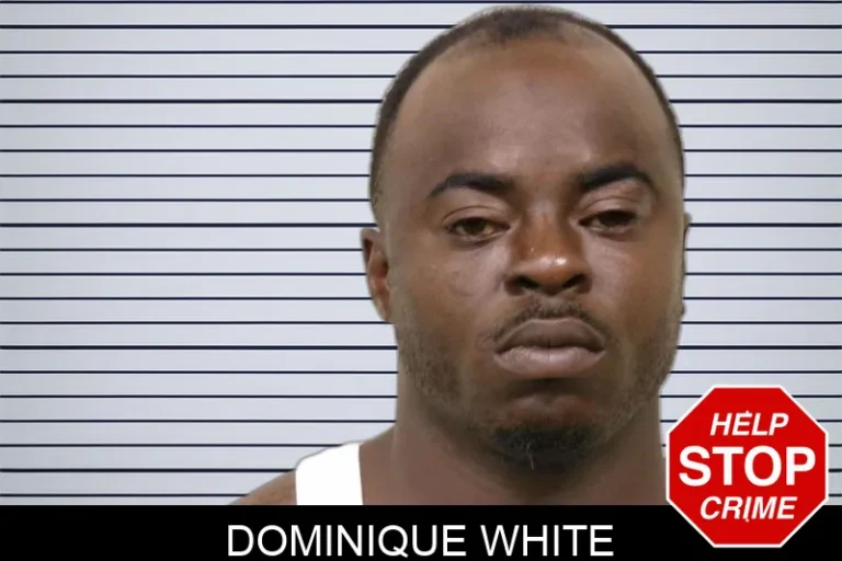 Dominique White mugshot – Bulloch County , Georgia Dominique White