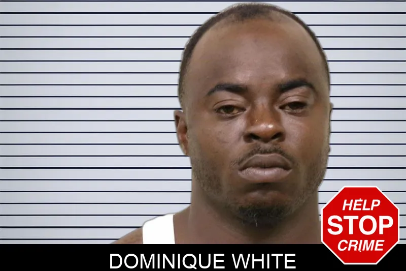 Dominique White Mugshots