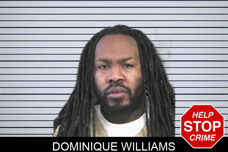 Dominique Williams Mugshots