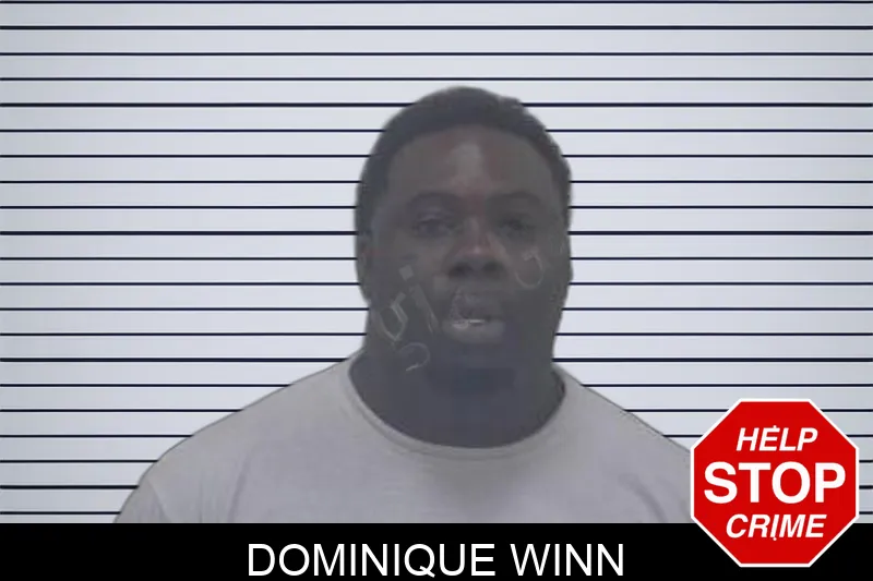 Dominique Winn Mugshots