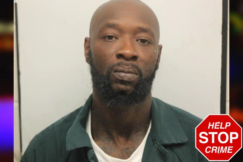 Donald Mainer Mugshots