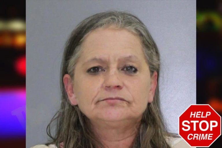 Donna Tyler mugshot – Rabun County , Georgia Donna Tyler