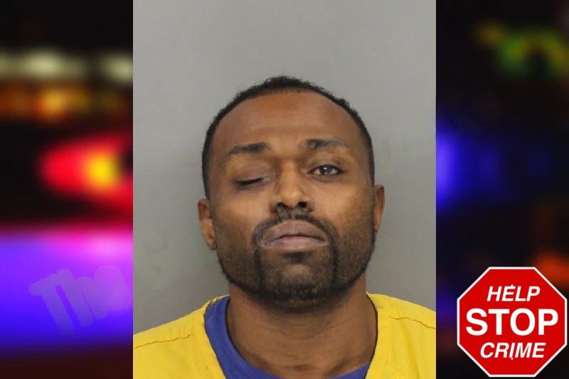 Drayton Brewster mugshot