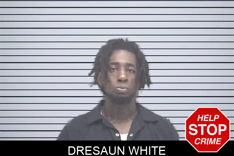 Dresaun White Mugshots