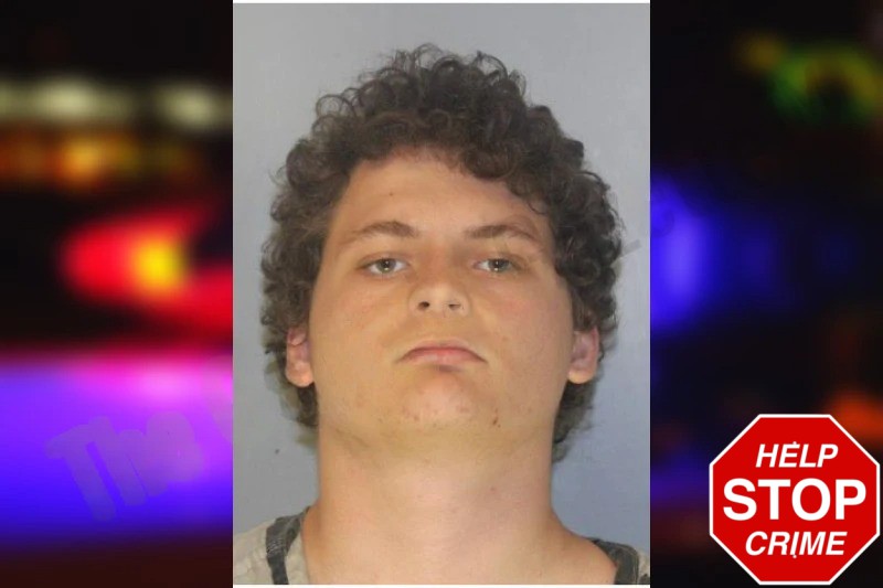 Dustin Turner Mugshots