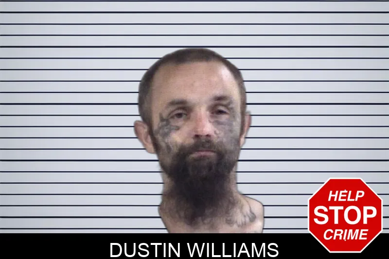 Dustin Williams Mugshots