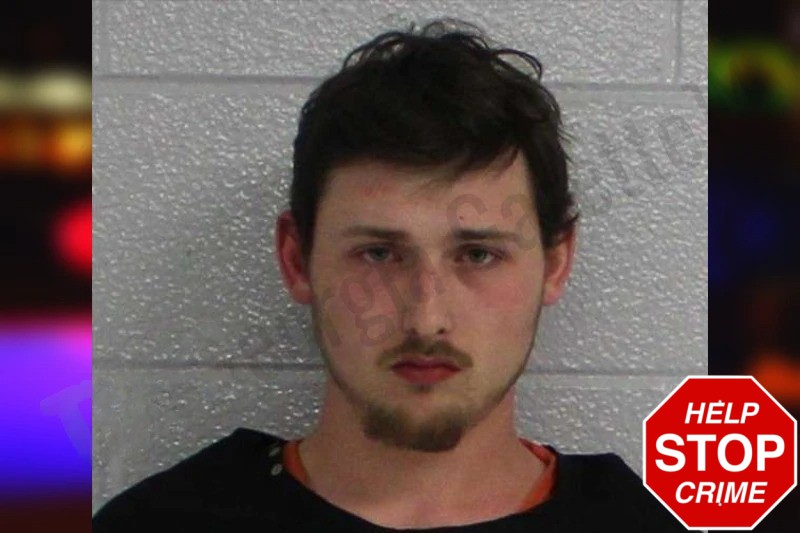 Dylan Donarski Mugshots