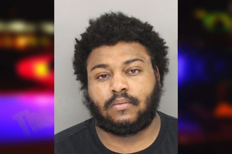 Dylan Futch mugshot – Cobb County , Georgia Dylan Futch mugshot