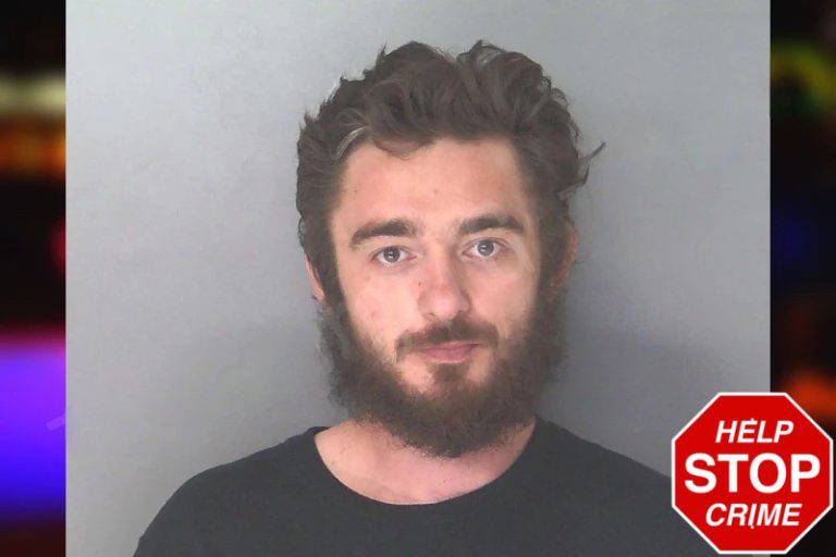 Dylan Hamilton mugshot – Douglas County , Georgia Dylan Hamilton