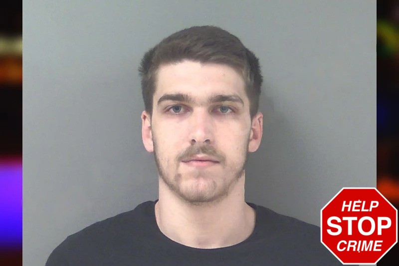 Dylan White Mugshots