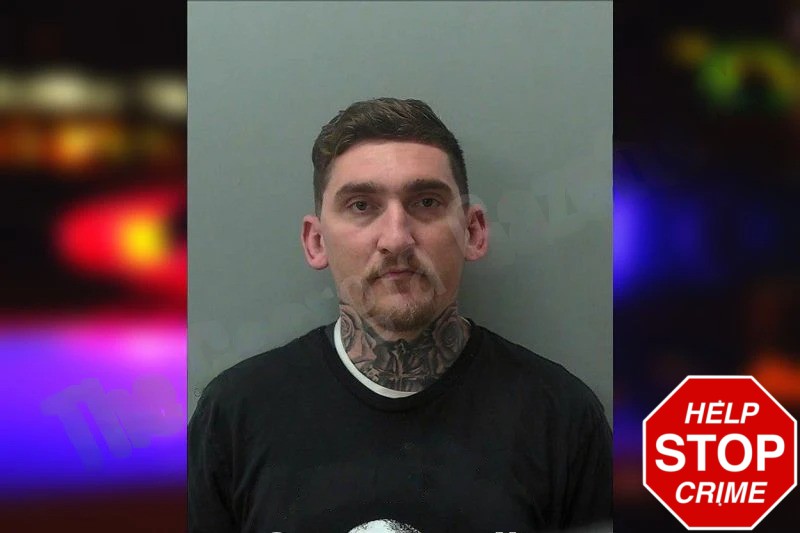 Dylan White Mugshots