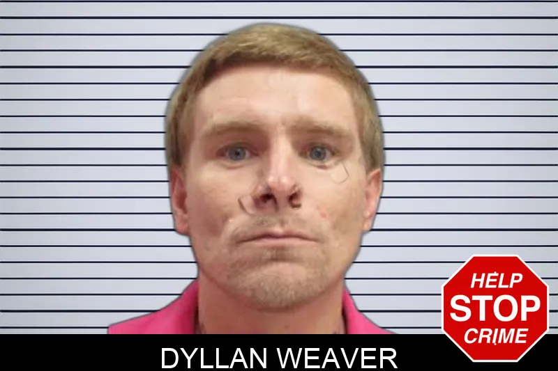 Dyllan Weaver Mugshots