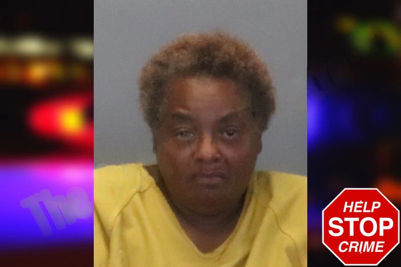 Ebony Hamilton Mugshots