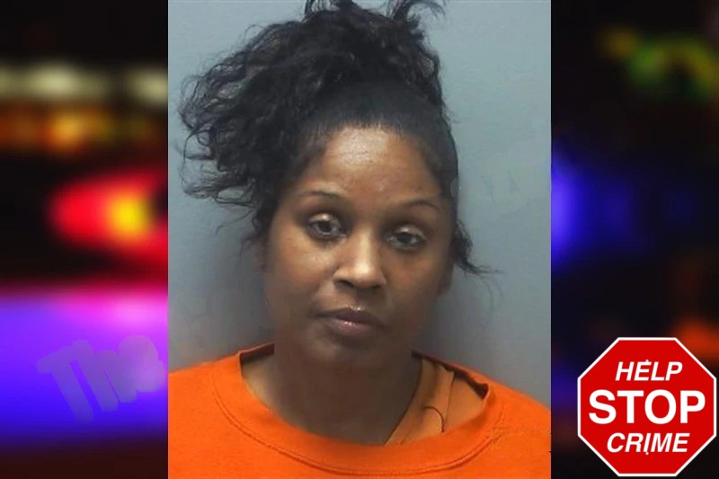 Ebony Mitchell Mugshots