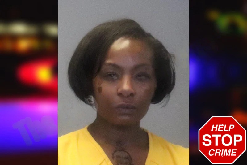 Ebony Warren Mugshots