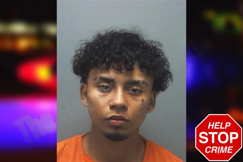 Edenilson Hernandez Herrera Mugshots