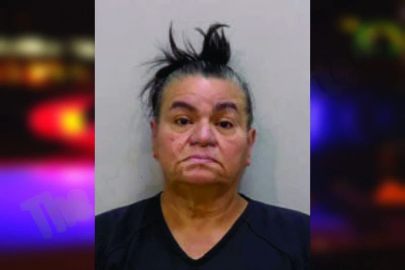Edilia Ramirez-Perez mugshot