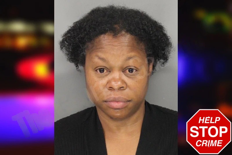 Effie Palmer Mugshots