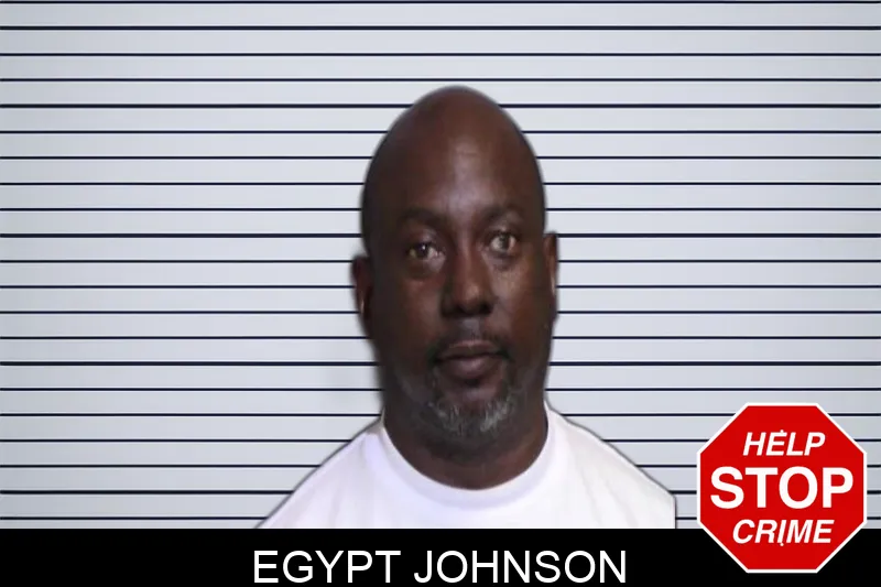 Egypt Johnson Mugshots