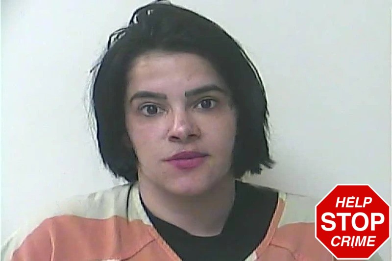 Elianet Camargo mugshot