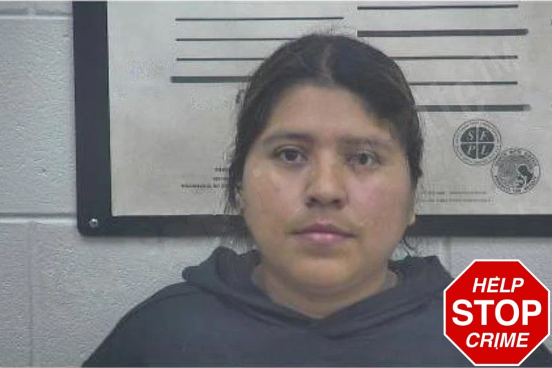 Elidia Morales-Domingo Mugshots