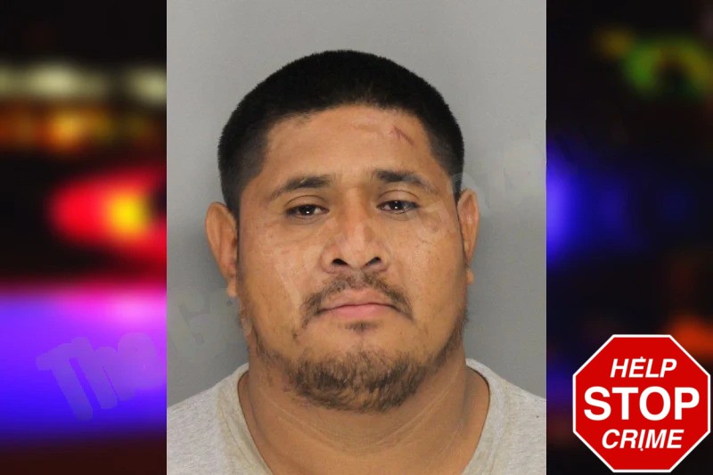 Eliezer Perez Mugshots