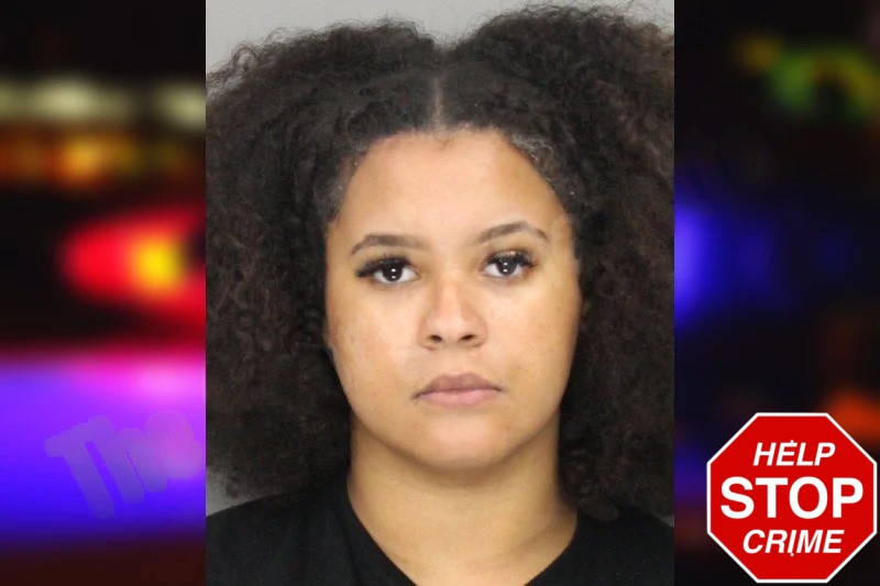 Elinett Reyes Mugshots