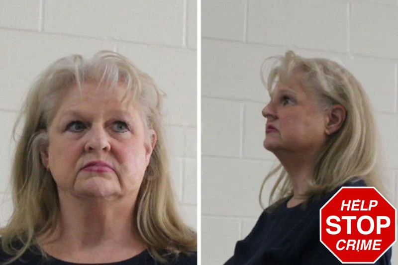 Elisa Farage mugshot – Houston County , Georgia Elisa Farage mugshot