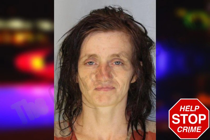 Elisabeth Hallman Mugshots