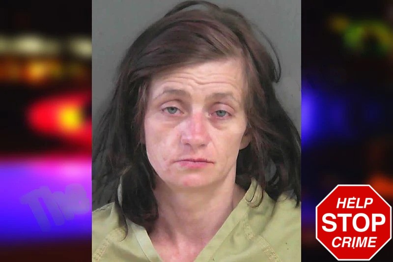 Elisabeth Hallman Mugshots