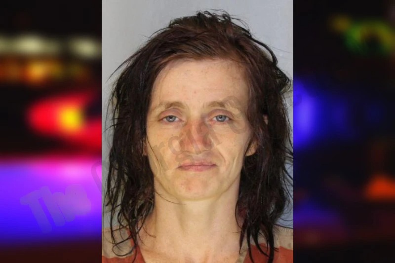 Elisabeth Hallman Mugshots