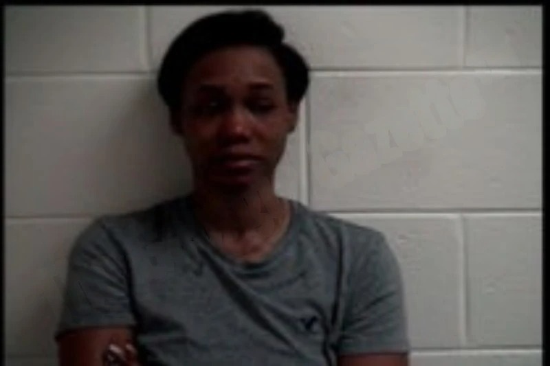 Elisabeth Heyliger mugshot