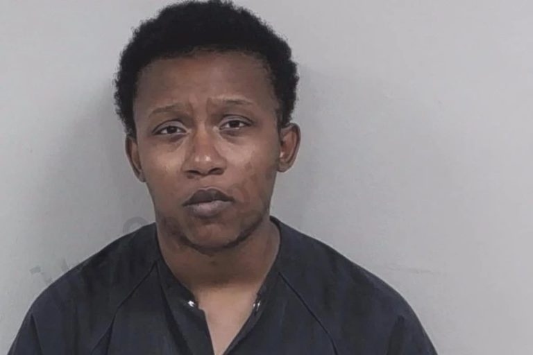 Elisse Flucas mugshot – Lowndes County , Georgia Elisse Flucas