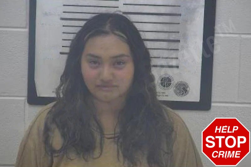 Elizabeth Colchado Mugshots