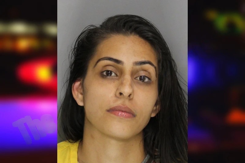 Elizabeth Lerma Mugshots