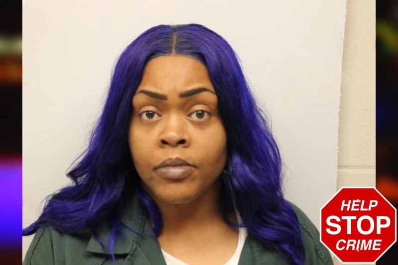 Elizabeth McIver Mugshots