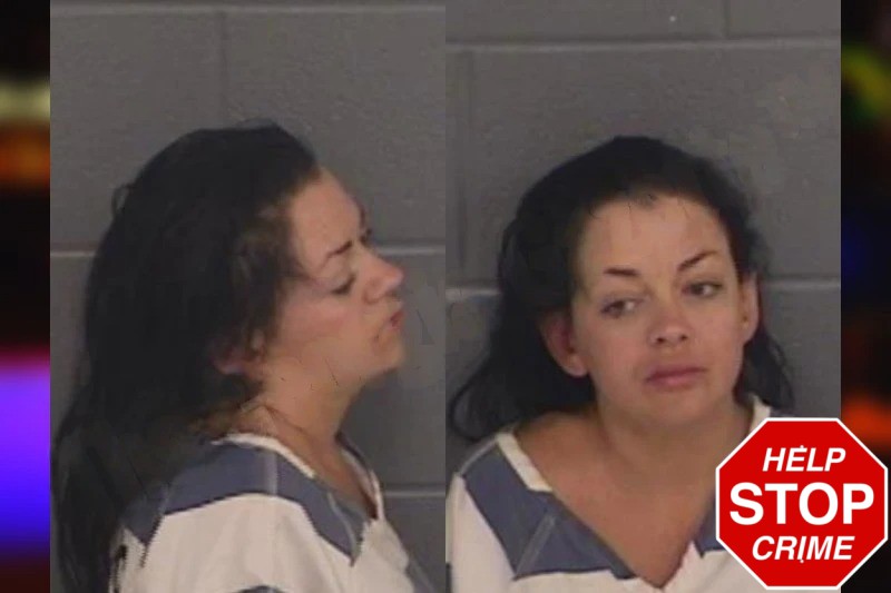Elizabeth Popham mugshot – Barrow County , Georgia Elizabeth Popham mugshot