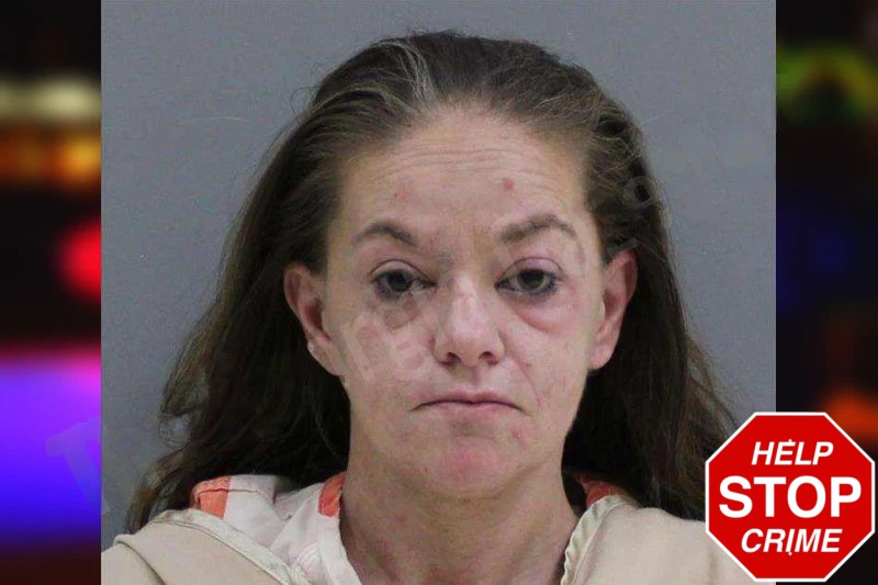 Elizabeth Smith Mugshots