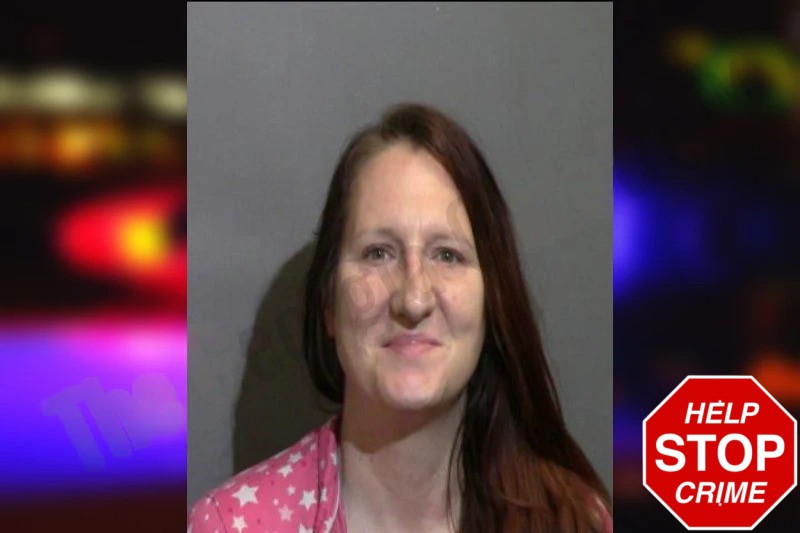 Elizabeth Snipes Mugshots