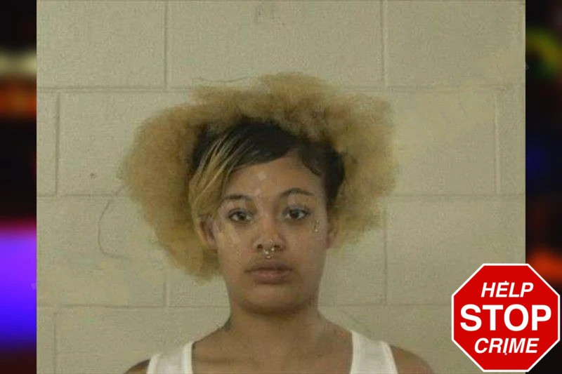 Elizabeth Stewart-Lira Mugshots