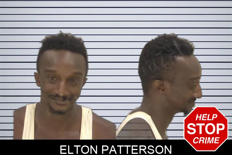 Elton Patterson Mugshots
