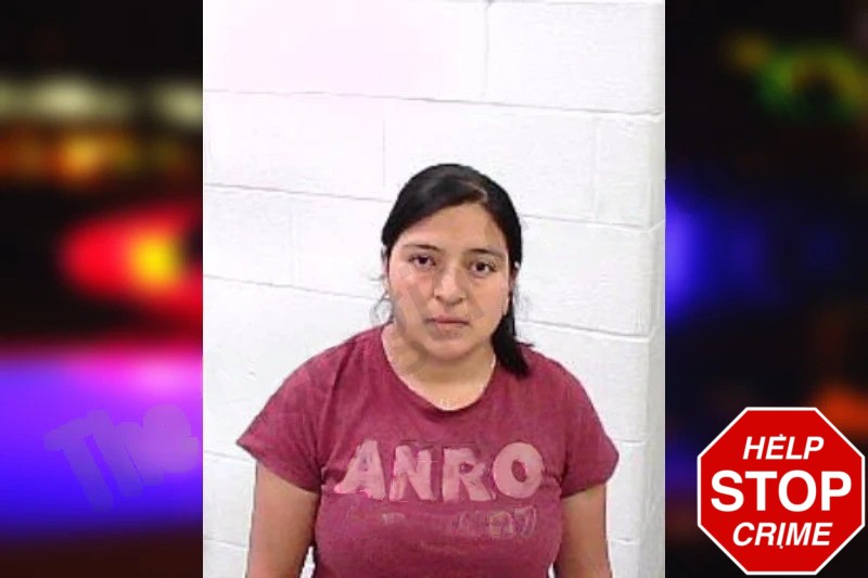 Elvia Matria Mugshots