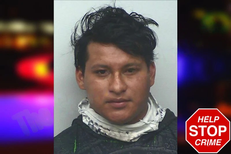 Elvin Perez Mugshots