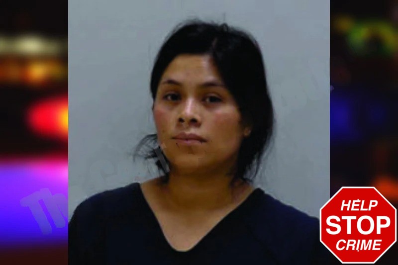 Elvira Diaz Mugshots