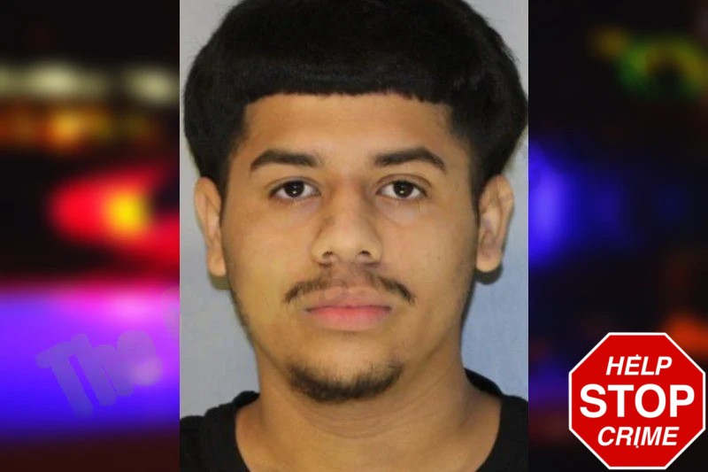 Elwin Turcios mugshot