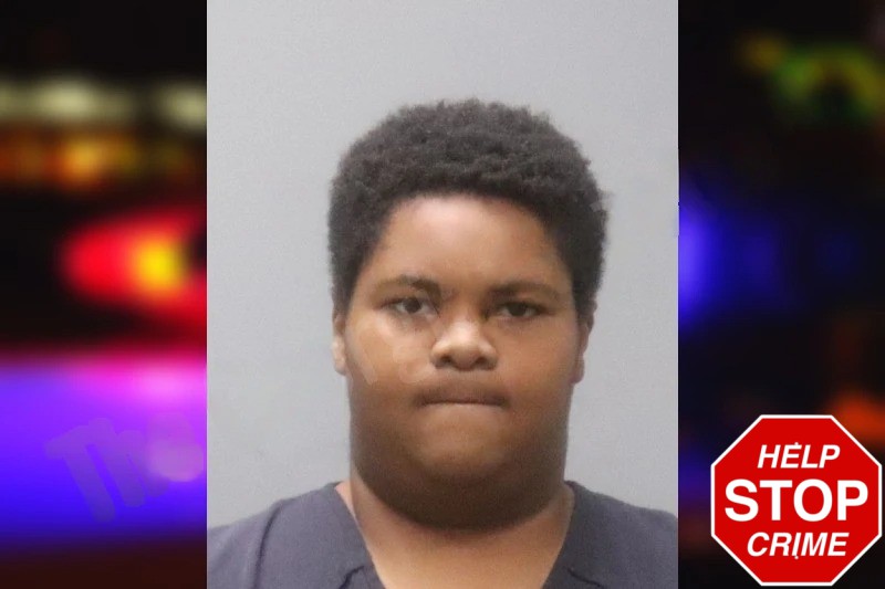 Emauri Pippens Mugshots